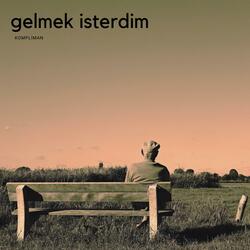 Gelmek İsterdim