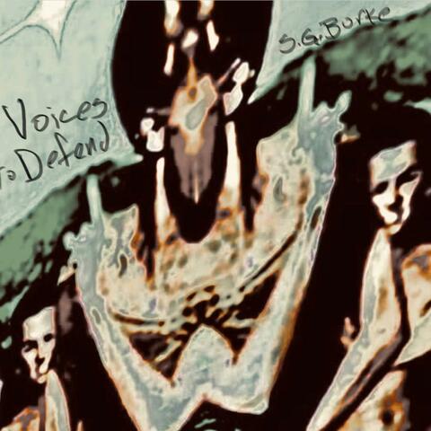 Voices to Defend
