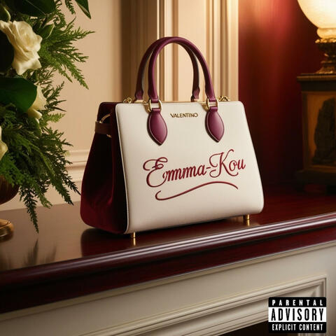 Bolso Valentino