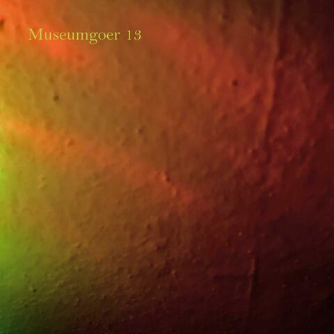 Museumgoer 13