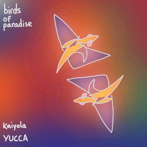 birds of paradise (feat. YUCCA)