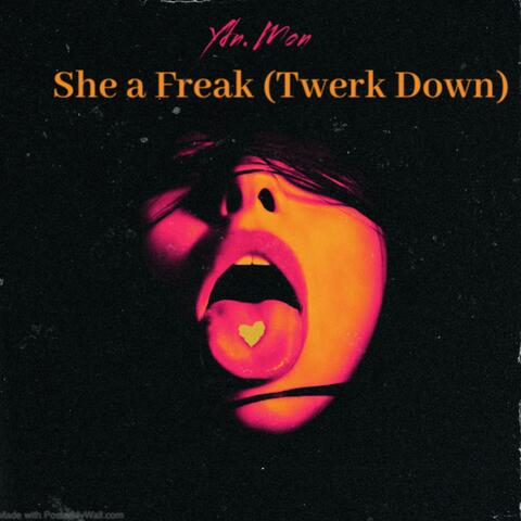 She a Freak (Twerk Down) (feat. Zj, Lilsmoove, Ydn.Von, dontask Dai & SkamXity T)