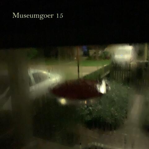 Museumgoer 15