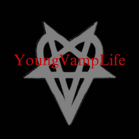 Vamp Diary 1