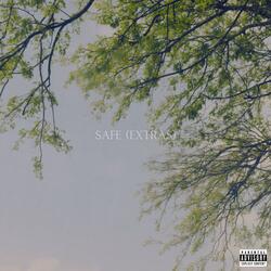 Safe