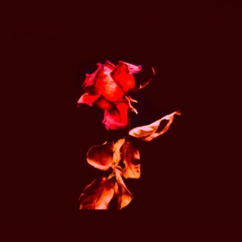 Playin You (Slowed)