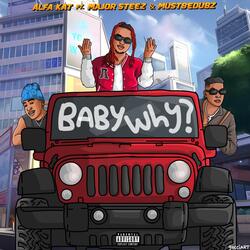 Baby Why? (feat. Majorsteez & Mustbedubz)