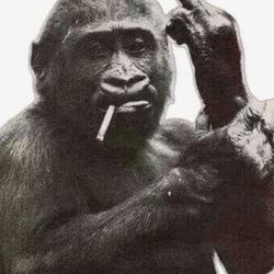 Amped (feat. AyeeJayc & babyjaay)