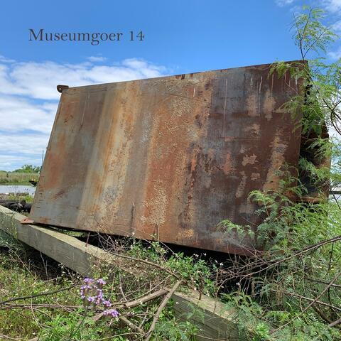 Museumgoer 14