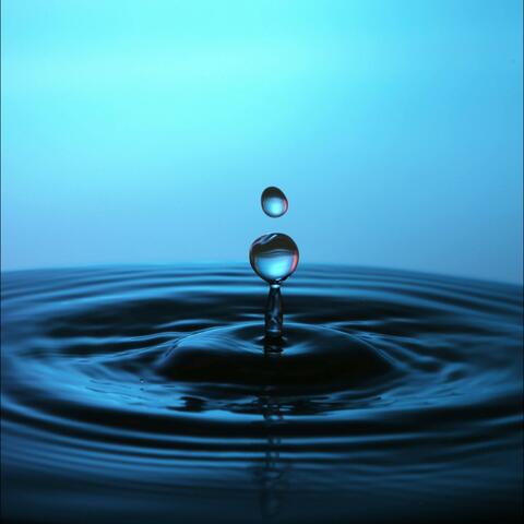 Insignificance