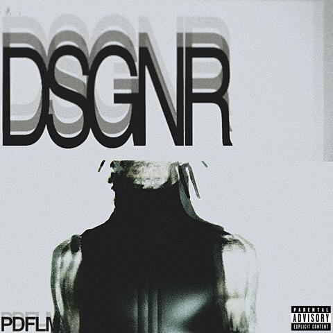 DSGNR