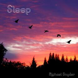 Sleep Stage One: Relaxation Response