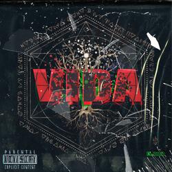Vida