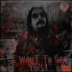 I Want To See You