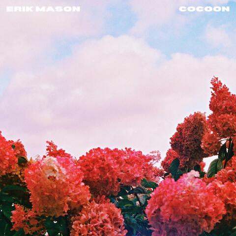 Cocoon