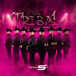 Stereo Tribal