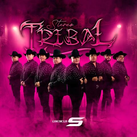 Stereo Tribal