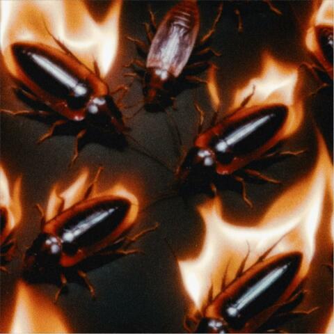 Roach (feat. Vails & The Sound Clown)