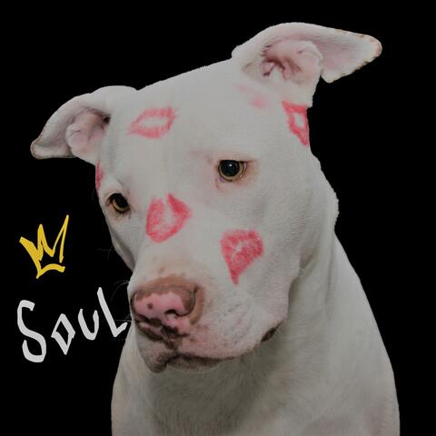 Soul (feat. Shao)