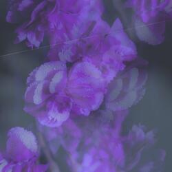 act iii: on god? inst