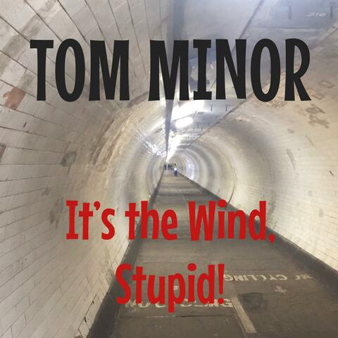 It's the Wind, Stupid!