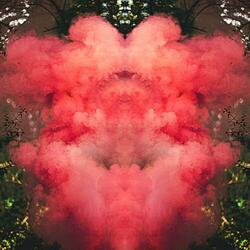 Passion Bubblegum