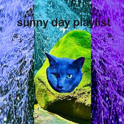 sunny day playlist
