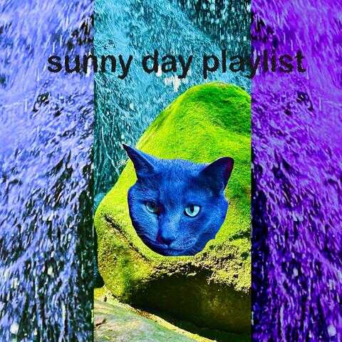 sunny day playlist