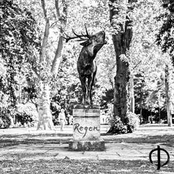 Willkommen in der Stadt (Intro)