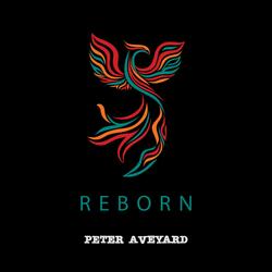 I think you went too far