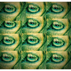 false flag existential crisis dance party