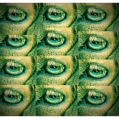 false flag existential crisis dance party