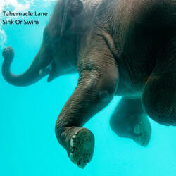 Took A While To Notice