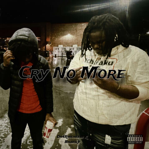Cry No More (feat. Big Moly)