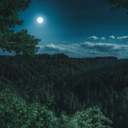 Follow the Moon (feat. Mzz.D)