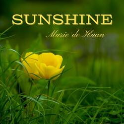 Sunshine