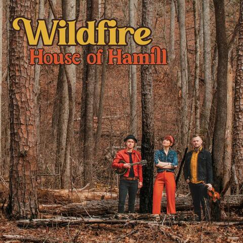 Wildfire
