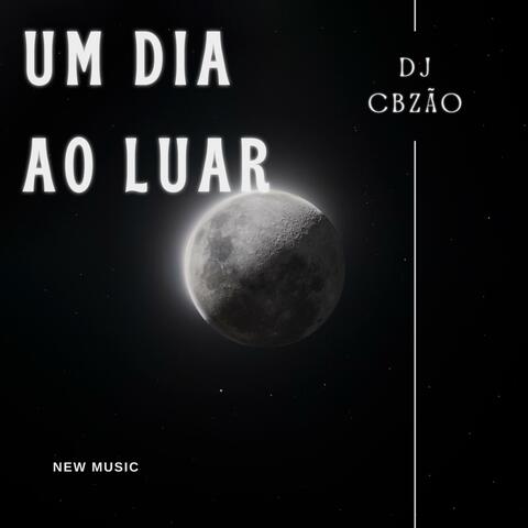 UM DIA AO LUAR
