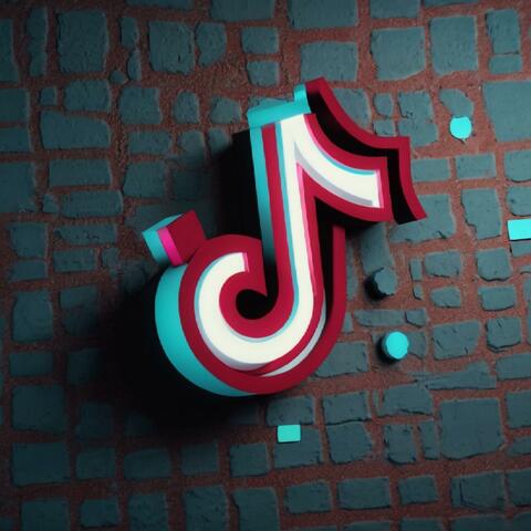 Disstracks For Tiktok
