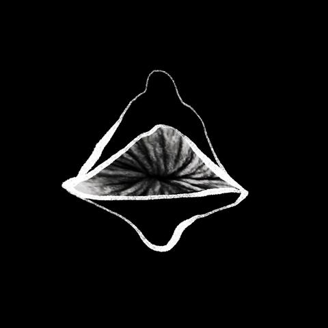 Zer Zera  (live in Brooklyn)