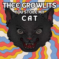 You Stole My Cat
