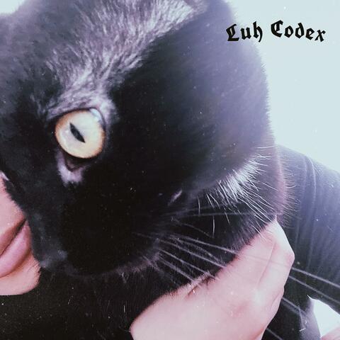 Black Cat Shawty