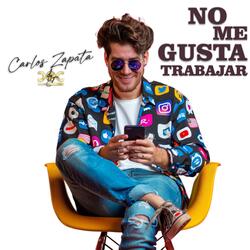 NO ME GUSTA TRABAJAR