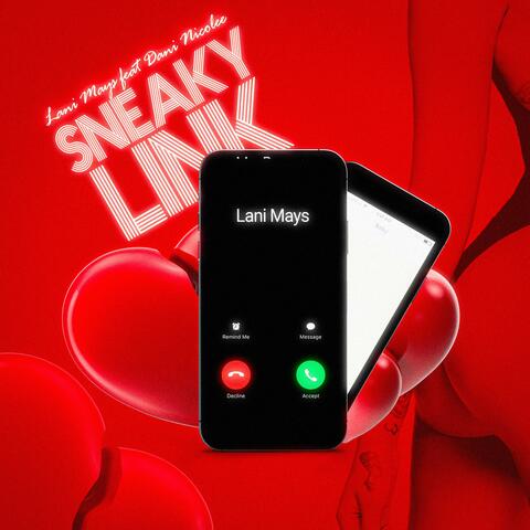 Sneaky Link (Officail Audio) (feat. Dani Nicolee)