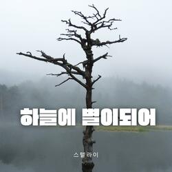하늘에 별이되어