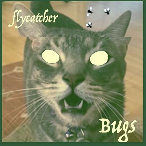 Bugs