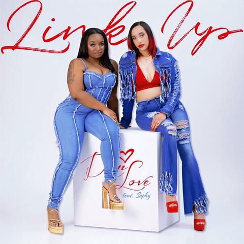 Link Up (feat. Sophy)