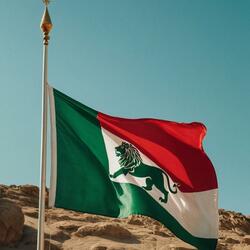 Flag Held High