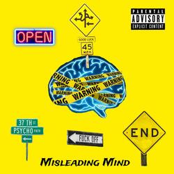Misleading Mind