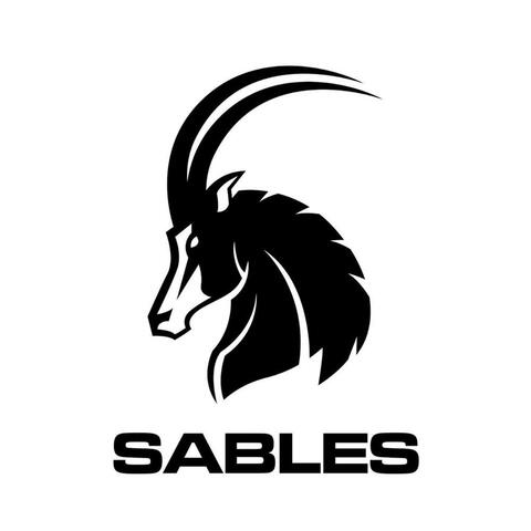 SABLES FIGHT SONG (feat. Sharonrose Manhiri)